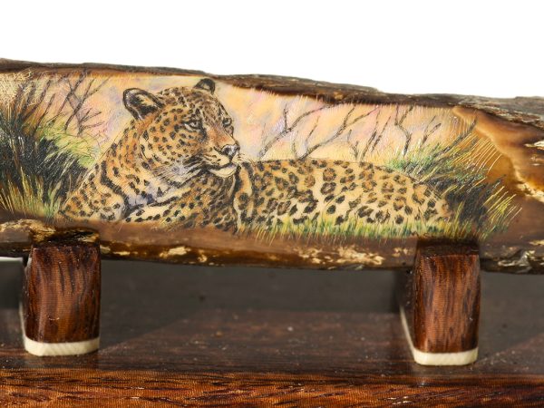 Matt Stothart Scrimshaw - Leopard at Rest