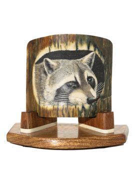 D. Adams Scrimshaw - Raccoon Cub in Hollow Tree