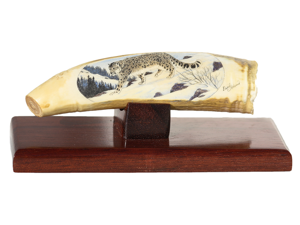 David Adams Scrimshaw - Hunting Snow Leopard