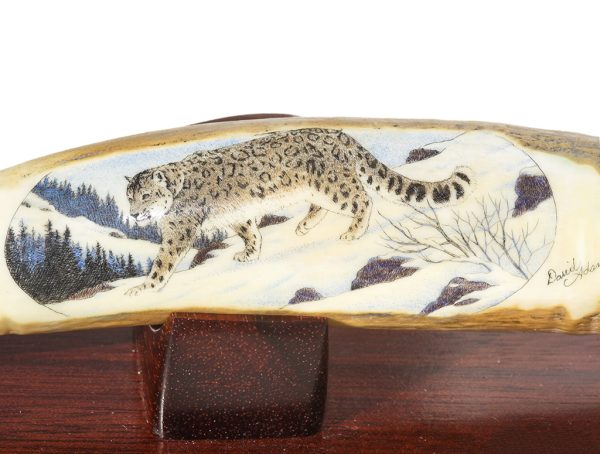 David Adams Scrimshaw - Hunting Snow Leopard