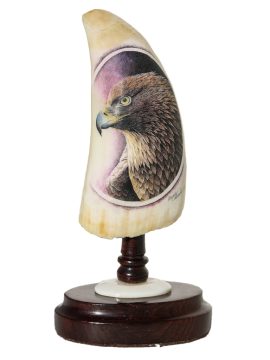 David Adams Scrimshaw - Intense Golden Eagle