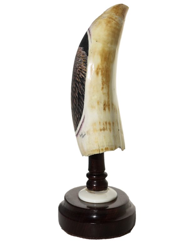 David Adams Scrimshaw - Intense Golden Eagle