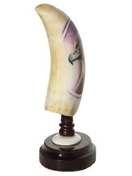 David Adams Scrimshaw - Intense Golden Eagle