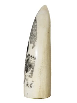 Ray Peters Scrimshaw - Whaleboat Helmsman