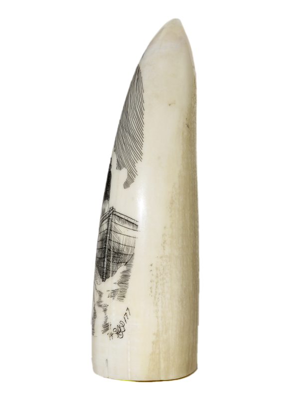 Ray Peters Scrimshaw - Whaleboat Helmsman