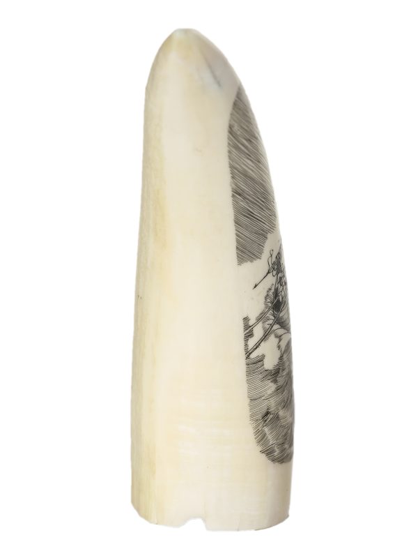 Ray Peters Scrimshaw - Whaleboat Helmsman