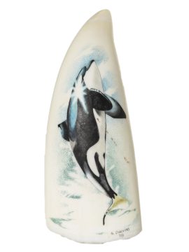 Gary Dorning Scrimshaw - Leaping Orca by Dorning