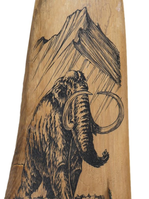 Geoff Olson Scrimshaw - Fearless Mammoth Hunter