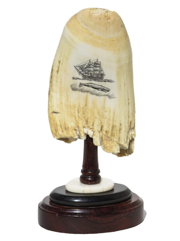 Ray Peters Scrimshaw - Upset Whaleboat!