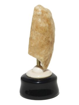 Gerry Dupont Scrimshaw - Breeching Sperm Whale