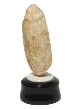 Gerry Dupont Scrimshaw - Breeching Sperm Whale