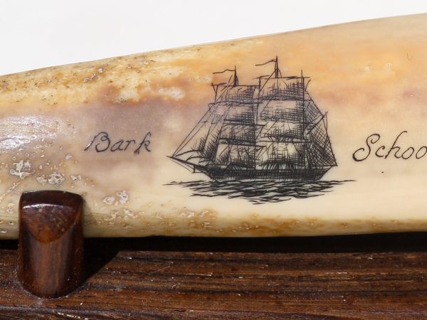 Gerry Dupont Scrimshaw - Bark Schooner Barkentine Portraits- Scrimshaw Collector