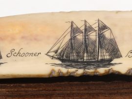 Gerry Dupont Scrimshaw - Bark Schooner Barkentine Portraits- Scrimshaw Collector