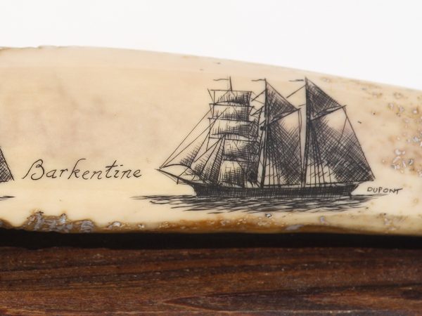 Gerry Dupont Scrimshaw - Bark Schooner Barkentine Portraits- Scrimshaw Collector