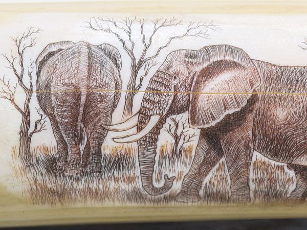 Unknown Artist - Elephant Family
