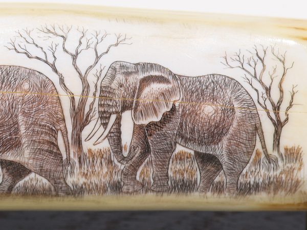 Unknown Artist - Elephant Family