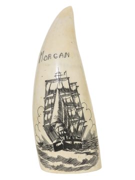 Unknown Artist - Whaler Morgan on Whale's Tooth