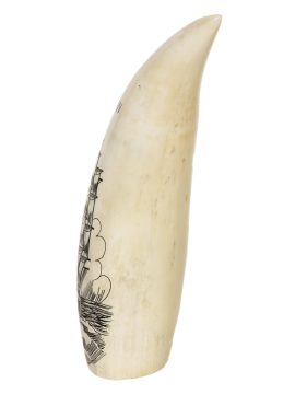 Unknown Artist - Whaler Morgan on Whale's Tooth