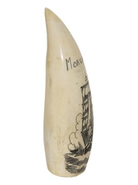 Unknown Artist - Whaler Morgan on Whale's Tooth