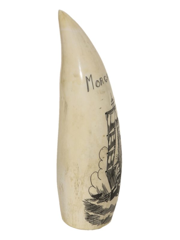 Unknown Artist - Whaler Morgan on Whale's Tooth