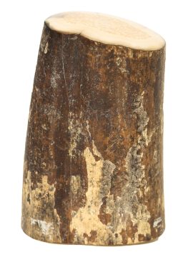 Fossil Walrus Tusk Raw Ivory - Scrimshaw Collector