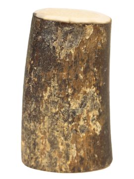 Fossil Walrus Tusk Raw Ivory - Scrimshaw Collector