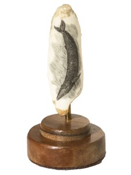 Gerry Dupont Scrimshaw - Blue Whale Diving