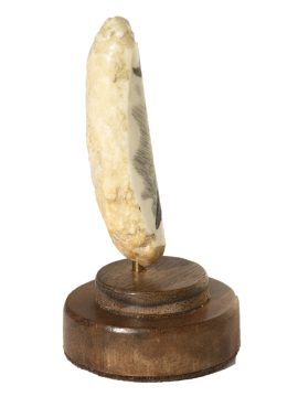 Gerry Dupont Scrimshaw - Blue Whale Diving
