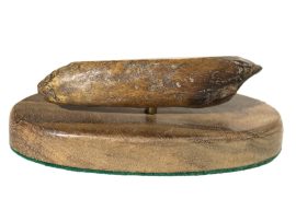 Ray Peters Scrimshaw - Bull Sperm Whale