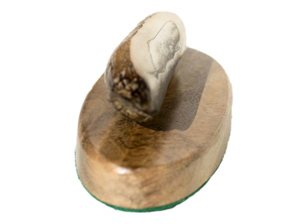 Ray Peters Scrimshaw - Bull Sperm Whale