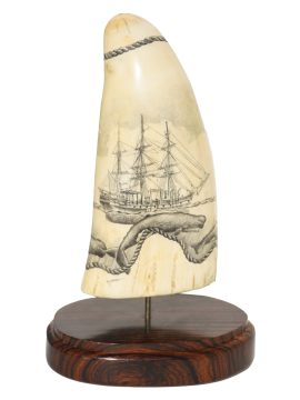 Ray Peters - Whaler and Sperm Whales
