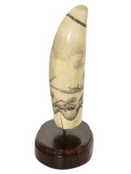 Ray Peters - Whaler and Sperm Whales