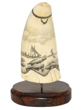 Ray Peters - Whaler and Sperm Whales
