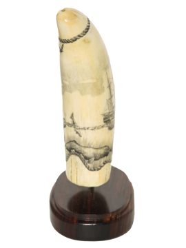 Ray Peters - Whaler and Sperm Whales