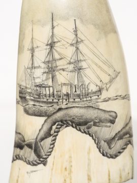 Ray Peters - Whaler and Sperm Whales