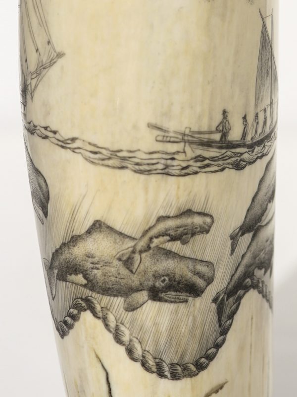 Ray Peters - Whaler and Sperm Whales