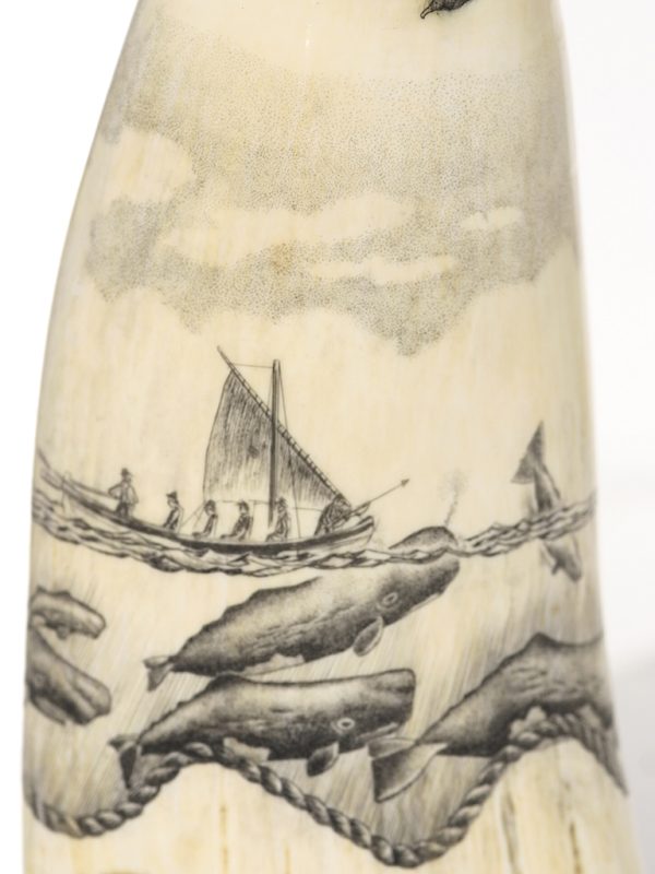 Ray Peters - Whaler and Sperm Whales