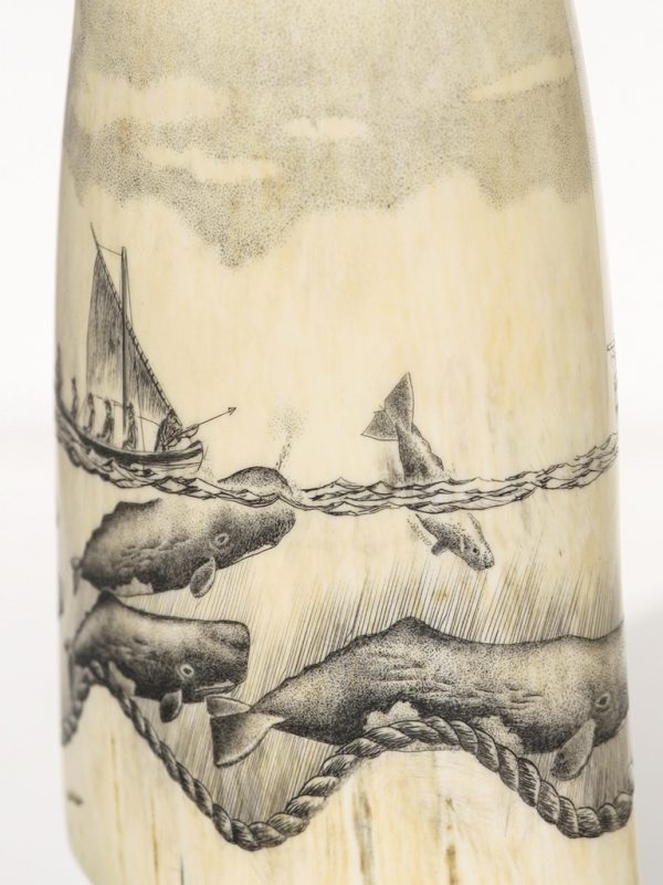 Ray Peters - Whaler and Sperm Whales