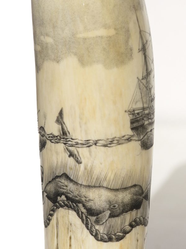 Ray Peters - Whaler and Sperm Whales