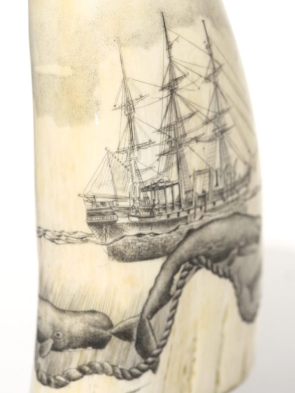 Ray Peters - Whaler and Sperm Whales