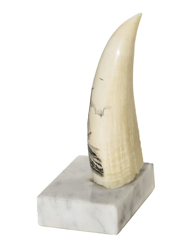 J.B. Pierce Scrimshaw - Full Sail Schooner