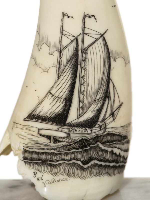 Full Sail Schooner - Image 6