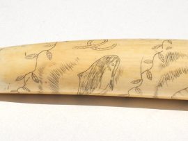 Unknown Artist - Scrimshaw on OId Pre-Ban Tusk