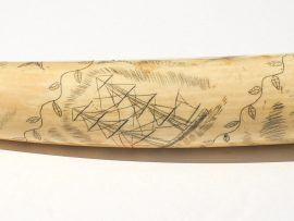 Unknown Artist - Scrimshaw on OId Pre-Ban Tusk
