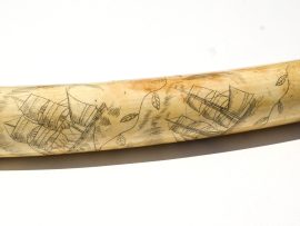 Unknown Artist - Scrimshaw on OId Pre-Ban Tusk