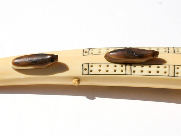 Unknown Artist - Antique Walrus Cribbage Board