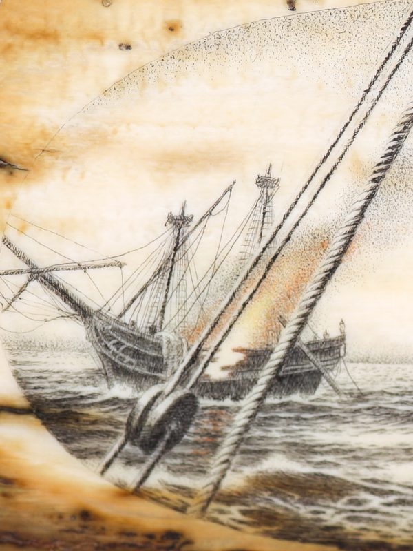 D. Adams Scrimshaw - Pirate Sabrina Strikes Again