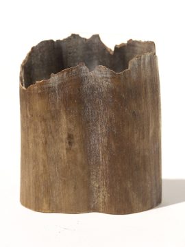 Fossil Walrus Tusk Raw Ivory - Scrimshaw Collector