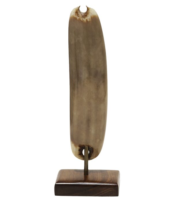 Mark Edgar Scrimshaw - Stern View Warship