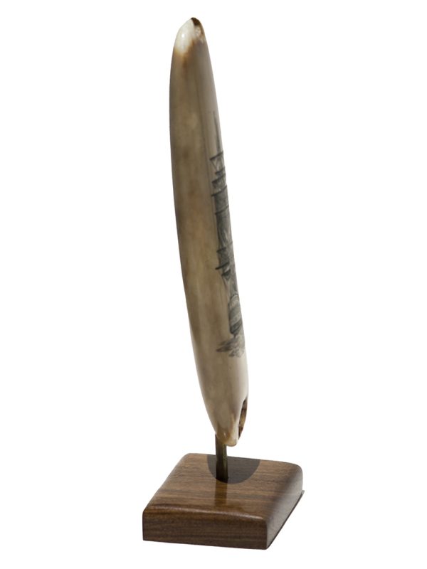 Mark Edgar Scrimshaw - Stern View Warship